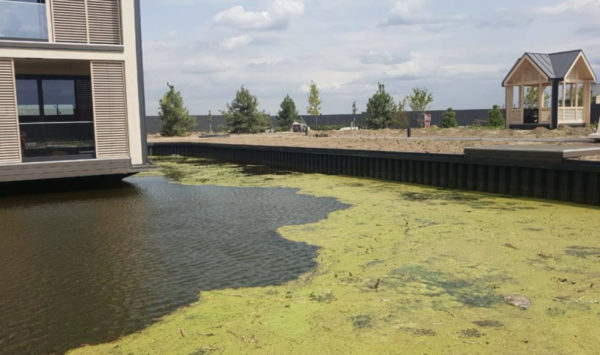 Plastspont för återställning av våtmarker - Bild 31